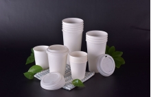 PLA biodegradable paper cup - PLA biodegradable paper cup